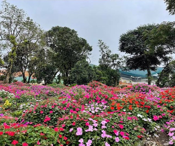 Sun World BaDen Mountain đón lực lượng tuyến đầu trải nghiệm tour khép kín Tp.HCM- Tây Ninh - Anh 5