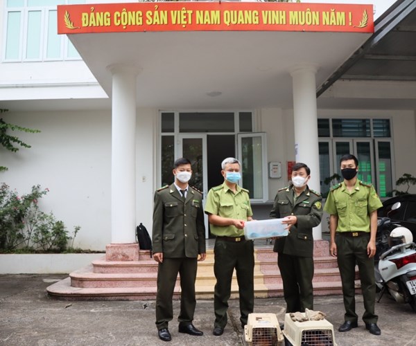 Trung tâm cứu hộ, bảo tồn và phát triển sinh vật – Vườn Quốc gia Cúc Phương tiếp nhận nhiều cá thể động vật hoang dã - Anh 1