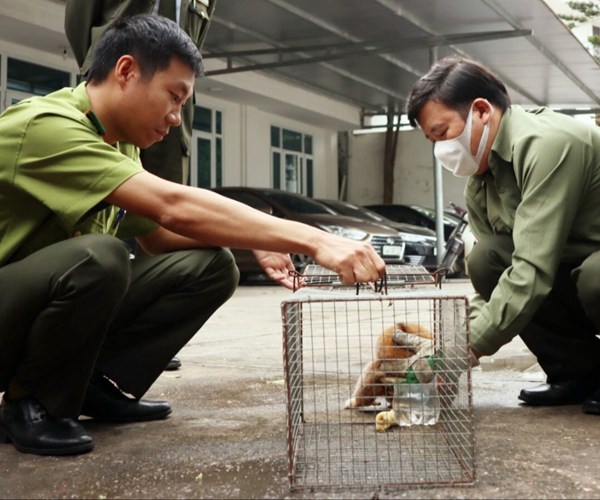 Trung tâm cứu hộ, bảo tồn và phát triển sinh vật – Vườn Quốc gia Cúc Phương tiếp nhận nhiều cá thể động vật hoang dã - Anh 4