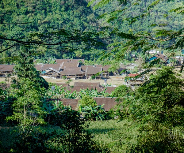 Người Nùng An giữ gìn làng hương Phia Thắp - Anh 1