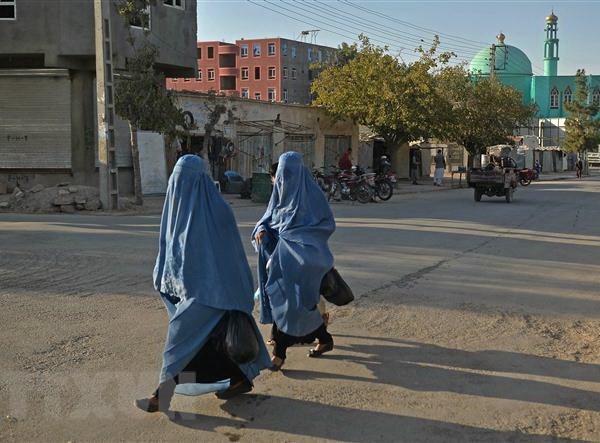 Taliban yêu cầu ngừng phát sóng các chương trình có diễn viên nữ - Anh 1