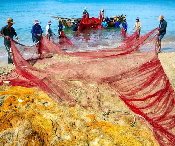 Việt Nam qua ống kính nhiếp ảnh gia quốc tế - Anh 3