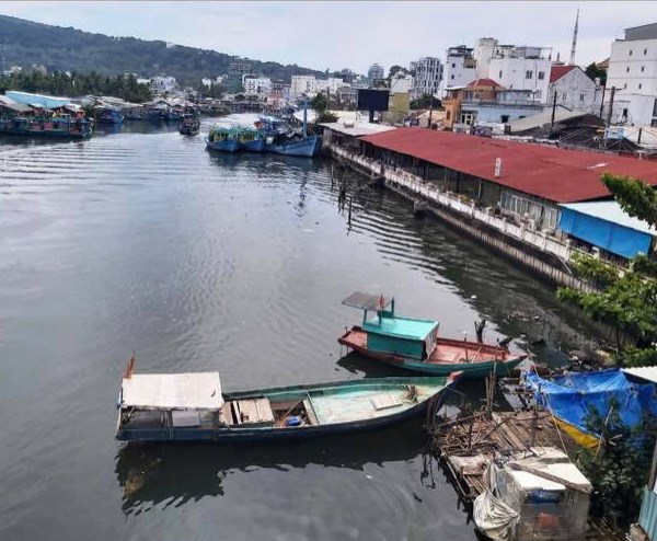 Phú Quốc tìm giải pháp cải tạo ô nhiễm sông Dương Đông - Anh 1
