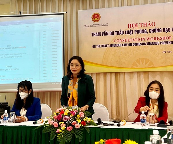 Ứng xử trong gia đình: Hội thảo tham vấn Dự thảo Luật Phòng, chống bạo lực gia đình (sửa đổi) - Anh 1