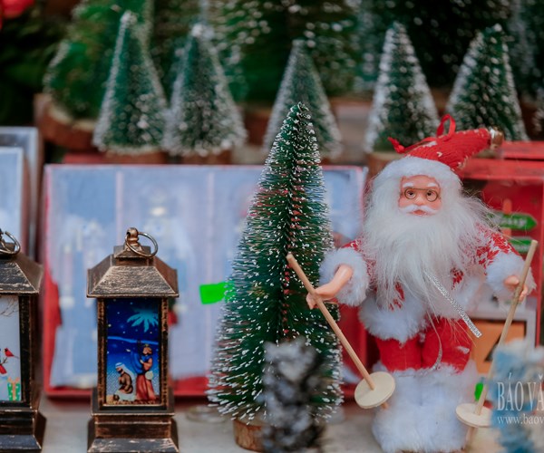 Giới trẻ Hà Nội đổ về phố Hàng Mã vui chơi Noel sớm - Anh 9