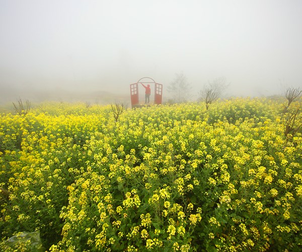 Du xuân cầu an trên đỉnh thiêng Fansipan - những trải nghiệm đáng thử - Anh 2
