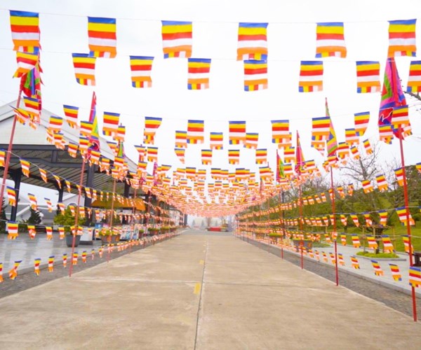 Du xuân cầu an trên đỉnh thiêng Fansipan - những trải nghiệm đáng thử - Anh 4