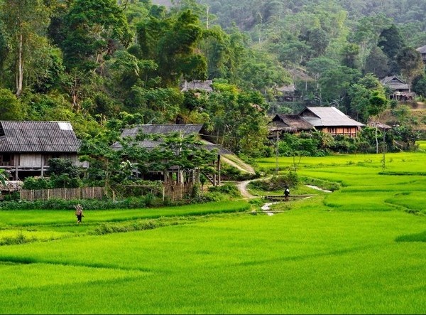 Sơn La sẽ có khu đô thị du lịch sinh thái 71ha tại Vân Hồ - Anh 1