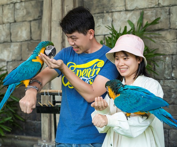 Trải nghiệm thú vị cho du khách tại show 