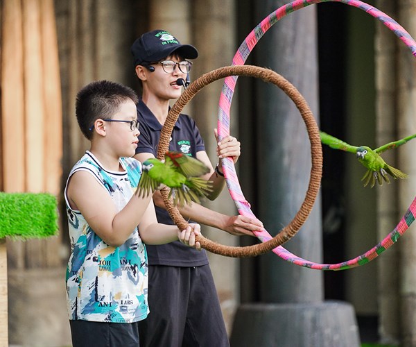 Trải nghiệm thú vị cho du khách tại show 