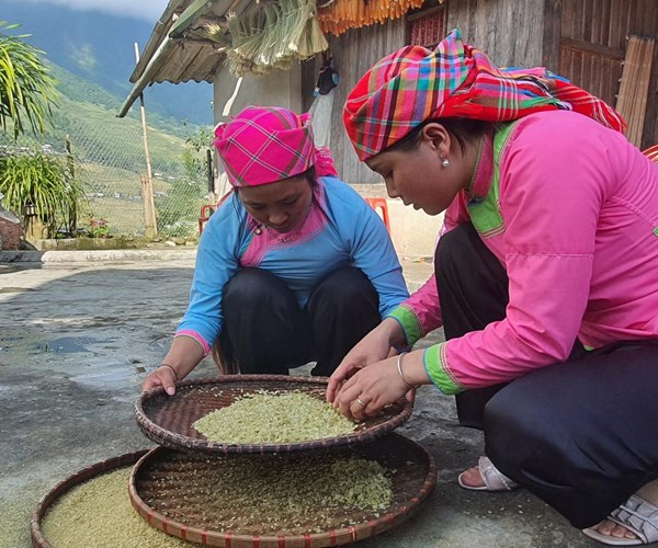 Độc đáo Tết cơm mới của dân tộc Giáy ở Tả Van, Sa Pa - Anh 8