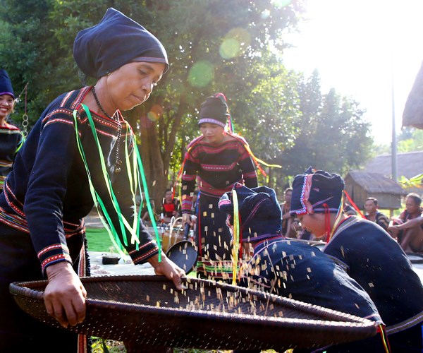 Le mung lua moi - ton vinh net dep truyen thong cua nguoi Gia Rai - Anh 3