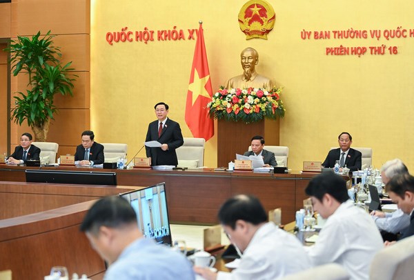 Ủy ban Thường vụ Quốc hội khai mạc phiên họp thứ 17 ngày 28.11 - Anh 1