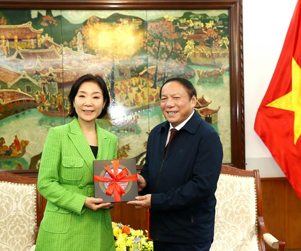 Việt Nam - Hàn Quốc: Tăng cường hợp tác văn hoá, thể thao và du lịch - Anh 4