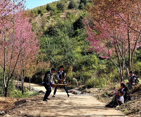 Len Mu Cang Chai trai nghiem ve dep lung linh cua hoa to day - Anh 1