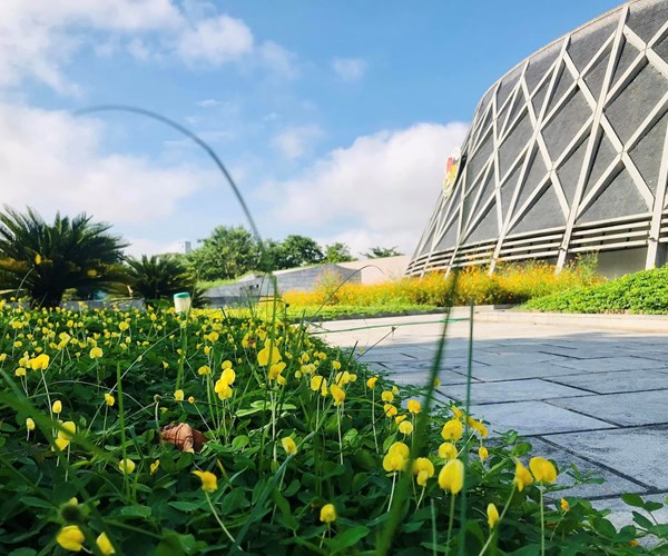 Bảo tàng Chiến thắng lịch sử Điện Biên Phủ sẵn sàng đón du khách dịp năm mới - Anh 6