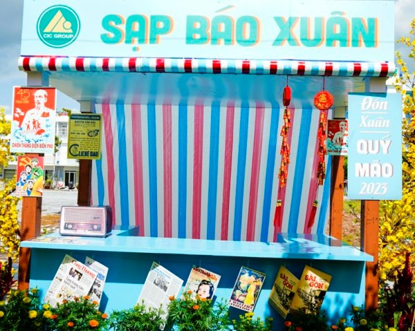Rực rỡ sắc mai vàng ở khu lấn biển Tây Bắc Kiên Giang - Anh 3
