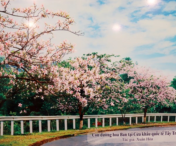 Triển lãm trưng bày ảnh nghệ thuật du lịch Điện Biên - Anh 5