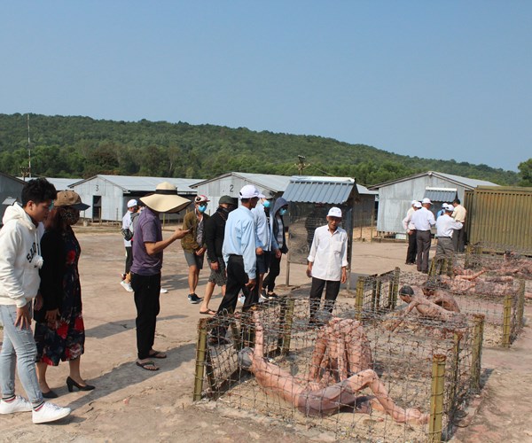 Hướng đến Lễ kỷ niệm 50 năm “Chiến thắng trở về” - Anh 1