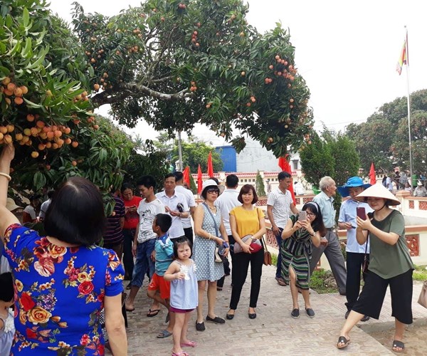 Phó Thủ tướng Vũ Đức Đam dự Lễ hội Vải thiều Thanh Hà năm 2018 - Anh 2