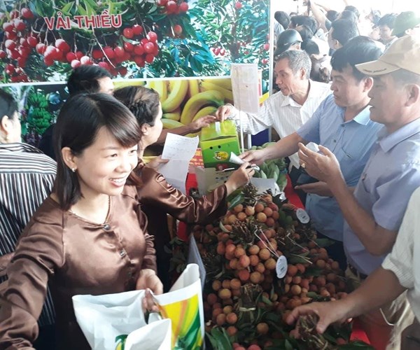 Phó Thủ tướng Vũ Đức Đam dự Lễ hội Vải thiều Thanh Hà năm 2018 - Anh 3