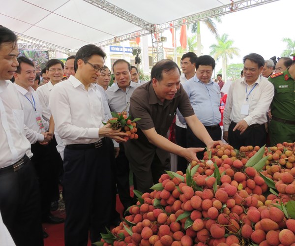 Phó Thủ tướng Vũ Đức Đam dự Lễ hội Vải thiều Thanh Hà năm 2018 - Anh 1