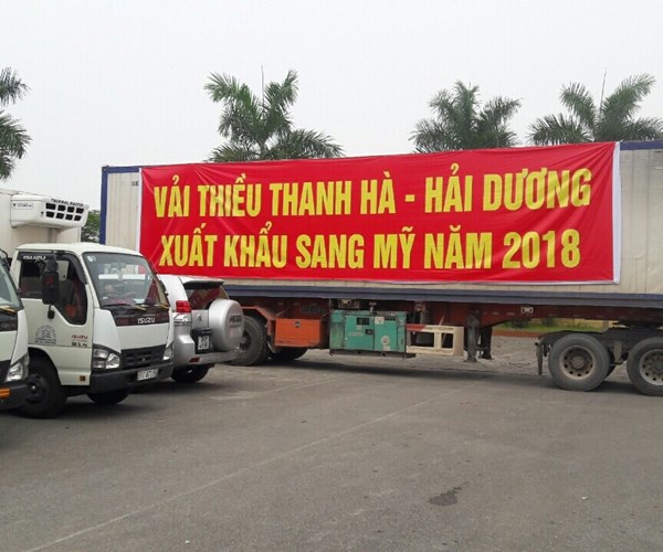 Phó Thủ tướng Vũ Đức Đam dự Lễ hội Vải thiều Thanh Hà năm 2018 - Anh 4
