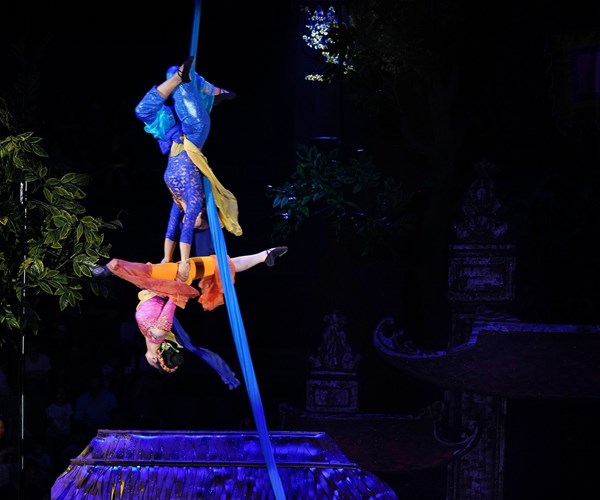 Nghệ thuật xiếc kể chuyện 