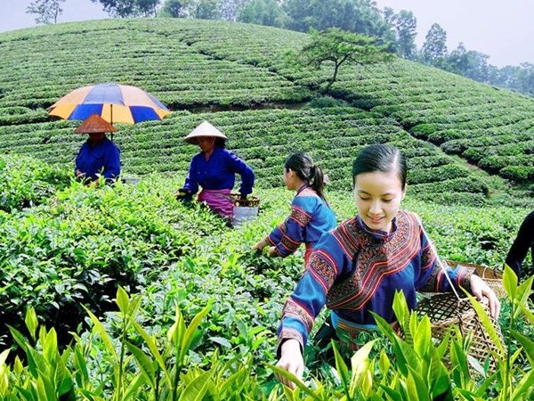 Đẩy mạnh chuyển đổi số vùng đồng bào dân tộc thiểu số và miền núi - Anh 1