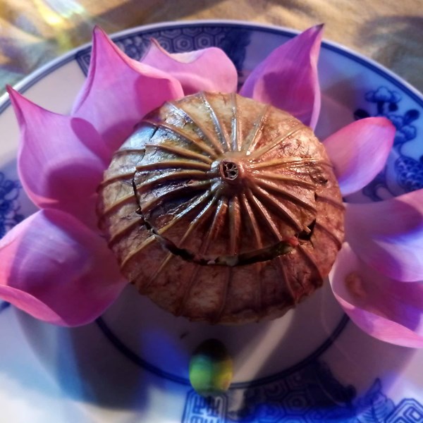 Đưa ẩm thực thành sản phẩm du lịch đặc sắc của Huế - Anh 5