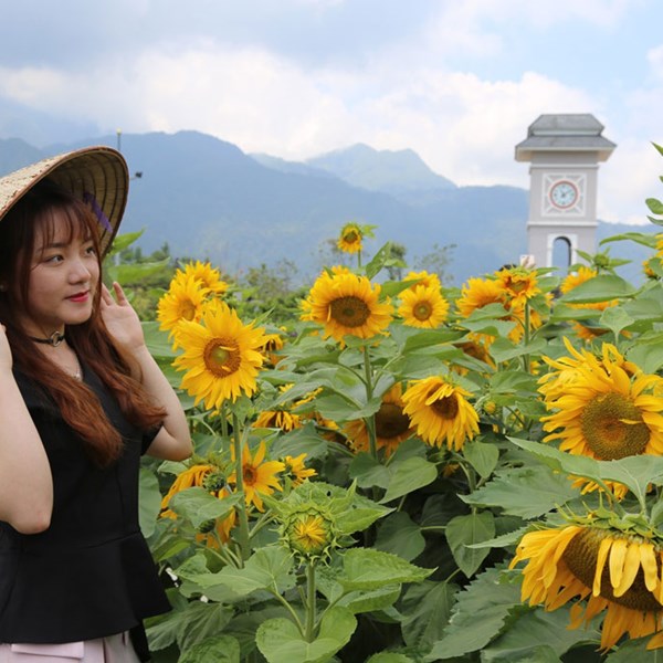Phát hiện ngọn đồi hoa hướng dương tuyệt đẹp ngay chân núi Fansipan - Anh 4