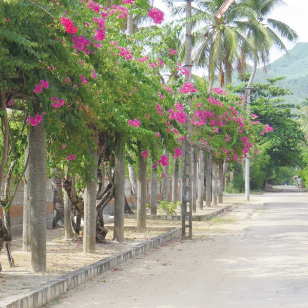 Làng phong miền chân sóng - Anh 2