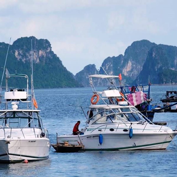 Quản lý tàu, du thuyền, xuồng du lịch trên vịnh Hạ Long - Anh 1