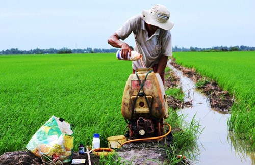 Đừng để tồn dư thuốc bảo vệ thực vật chặn đường xuất khẩu nông sản - Anh 1