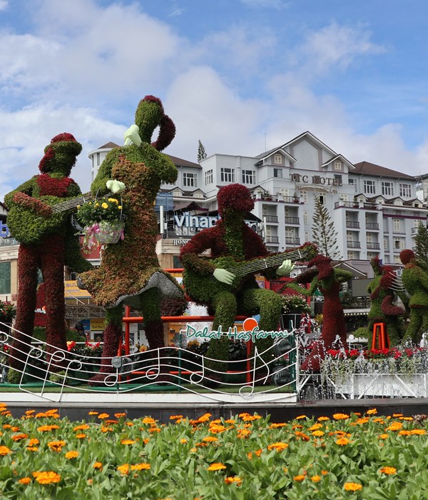 Hoa Đà Lạt xuống phố - Anh 4