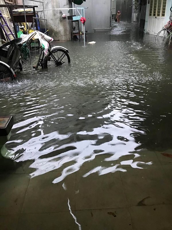 Hình ảnh ấm lòng giữa biển nước Đà Nẵng - Anh 2