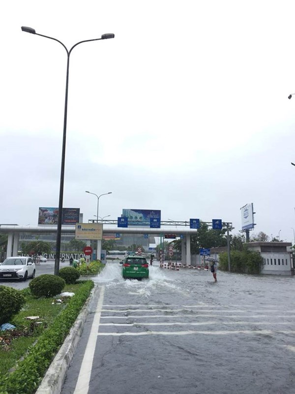 Hình ảnh ấm lòng giữa biển nước Đà Nẵng - Anh 3