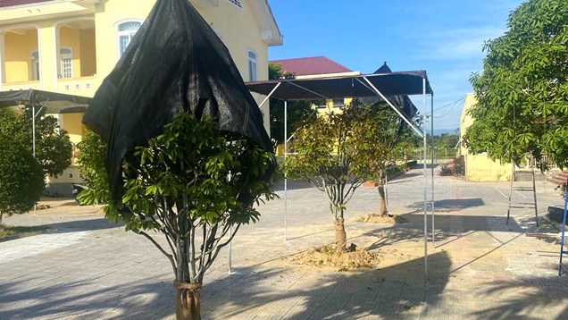 Sẽ xem xét kỷ luật những người liên quan