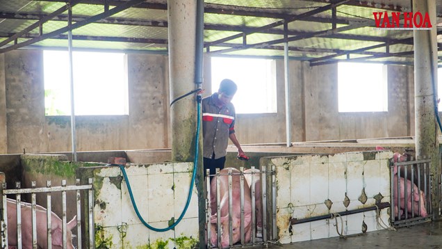 27 cơ sở giết mổ ở Hà Tĩnh không đủ điều kiện an toàn thực phẩm