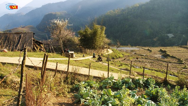 Diện mạo điện ảnh Việt Nam thời Đổi mới qua 17 tác phẩm tiêu biểu