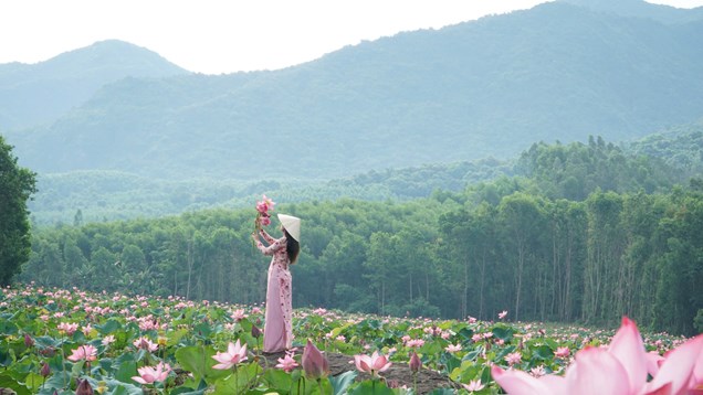 Đà Nẵng dành 500 tỉ đồng phát triển nông nghiệp hữu cơ 