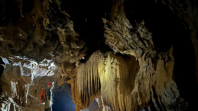 Mở ra hướng nghiên cứu sâu hơn về địa chất và hệ sinh thái lịch sử