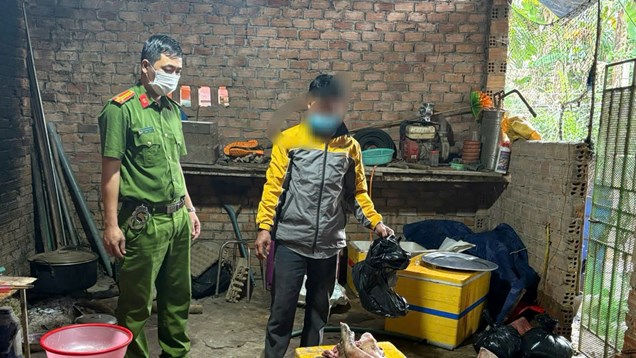 Phát hiện hộ gia đình mua bán lợn chết, giết mổ đưa ra thị trường
