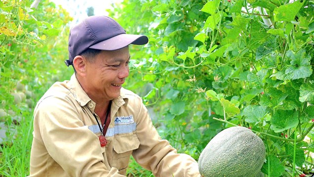 Xã Đông Sơn gặt “trái ngọt” từ chuyển đổi cây trồng