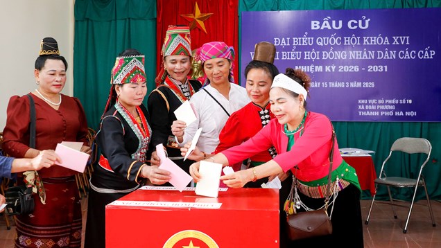 Đến 14h15, đã có 80,63% tổng số cử tri tham gia bỏ phiếu