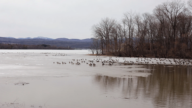 Mùa đông càng ấm càng gia tăng ô nhiễm nguồn nước uống