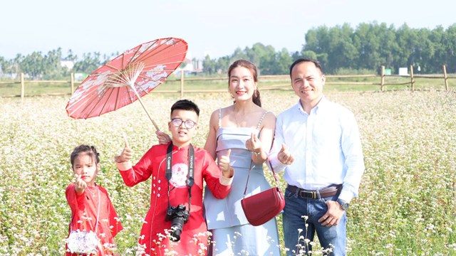 Ngỡ ngàng cánh đồng tam giác mạch giữa lòng đô thị Quảng Ngãi