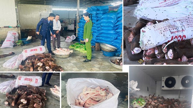 Thanh Hóa phát hiện gần 6 tấn xương, chân trâu bò bốc mùi chuẩn bị đưa ra quán ăn