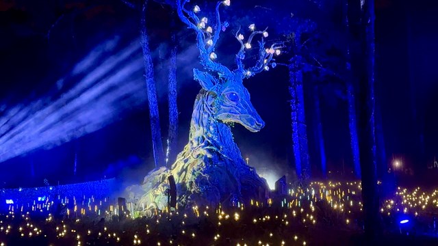 Đêm Đà Lạt “thức giấc” với vũ trụ ánh sáng kỳ ảo tại Delight Park