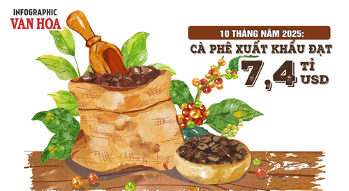 (Infographic) Xuất khẩu cà phê lập kỷ lục mới, vượt 7,4 tỉ USD sau 10 tháng
